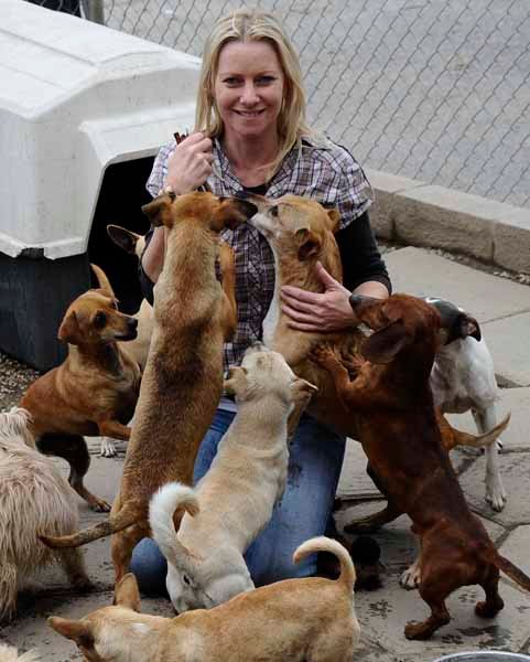 Volunteer Megan Watson with the non-profit Pet Adoption Fund, largest “no-kill shelter” for dogs and cats in SoCal. feeds many of the small dogs that they saved from being put to sleep at the pound. The shelter is in need of volunteers to help with the gr
