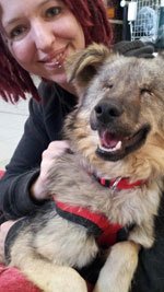 stage mogelijkheden voor dierenvrijwilligers in het buitenland.